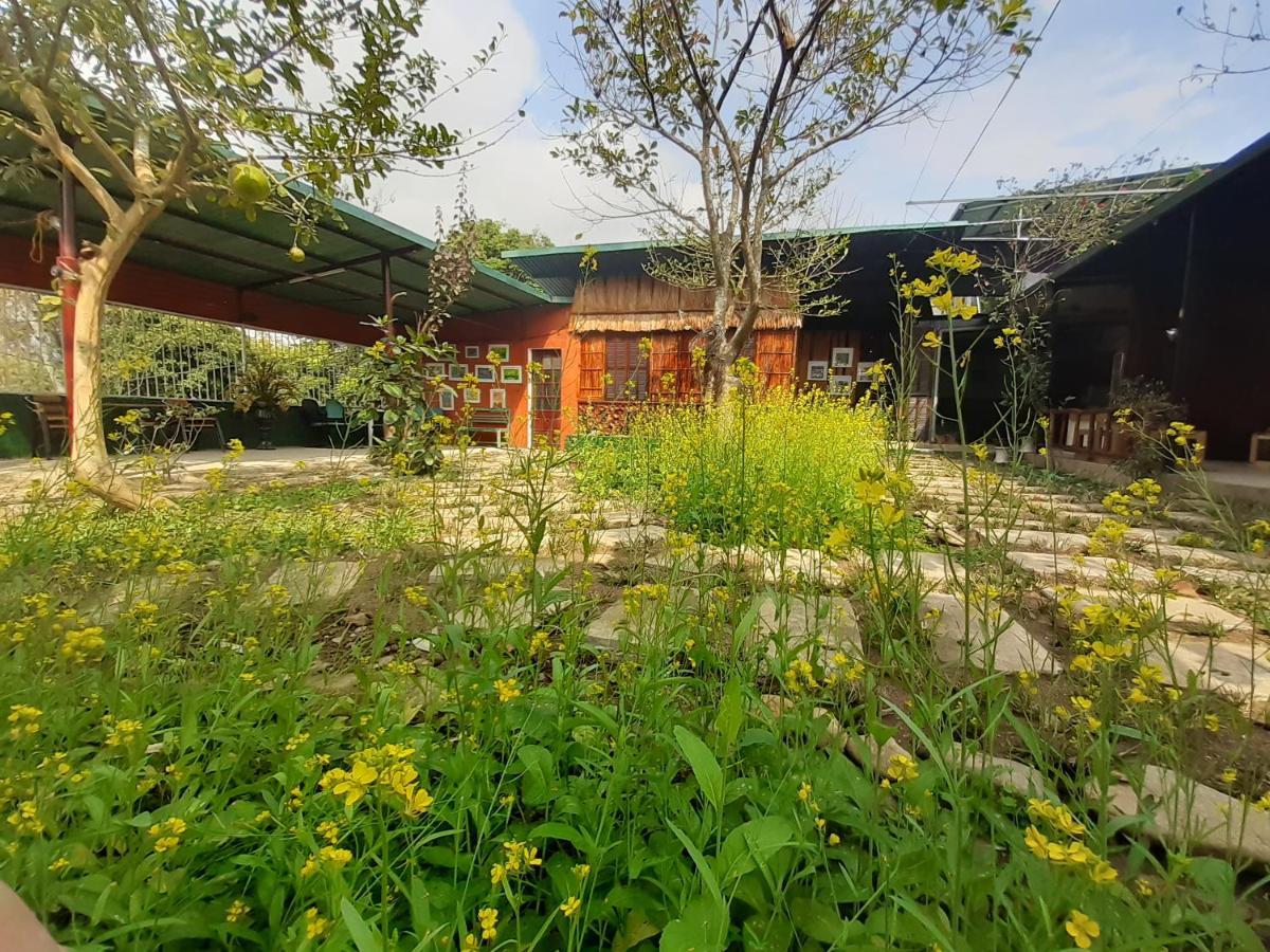 Homestay Lan Rung Nghia Lo Bagian luar foto