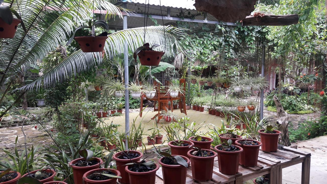 Homestay Lan Rung Nghia Lo Bagian luar foto