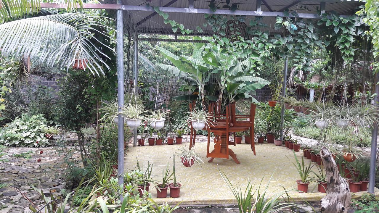 Homestay Lan Rung Nghia Lo Bagian luar foto